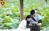Dịu dàng mùa sen Hà Nội